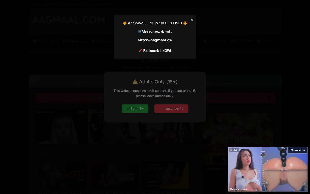 Screenshot of Aagmaal